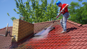 yearly roof cleaning to extend roof life